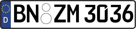 BN-ZM3036