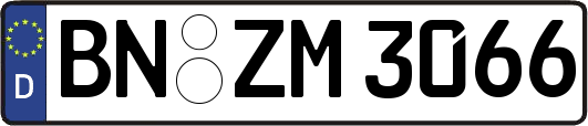 BN-ZM3066