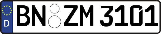 BN-ZM3101