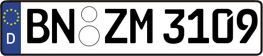 BN-ZM3109
