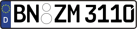 BN-ZM3110