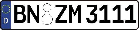 BN-ZM3111