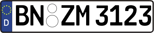 BN-ZM3123