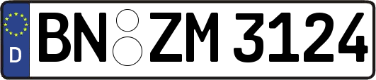 BN-ZM3124