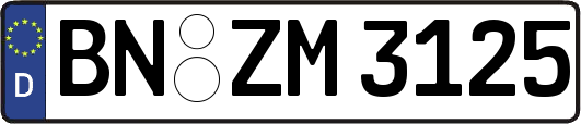 BN-ZM3125