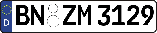 BN-ZM3129