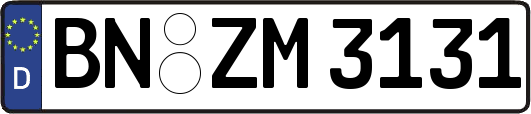 BN-ZM3131