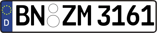 BN-ZM3161