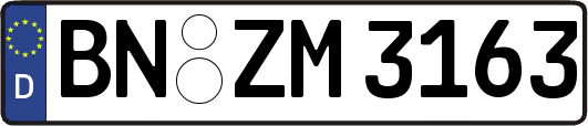 BN-ZM3163
