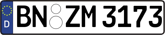 BN-ZM3173