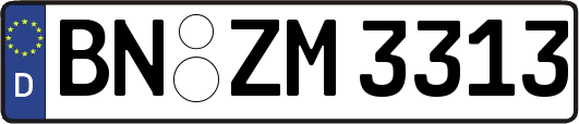 BN-ZM3313