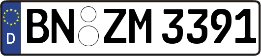BN-ZM3391