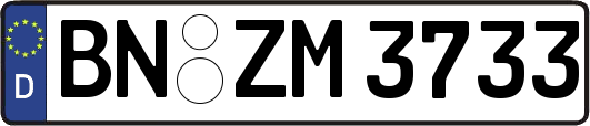 BN-ZM3733