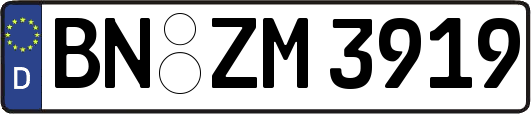 BN-ZM3919