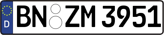 BN-ZM3951