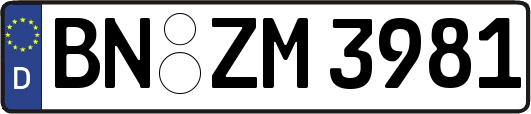 BN-ZM3981