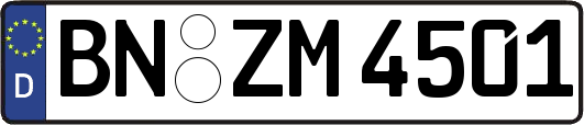 BN-ZM4501