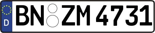 BN-ZM4731