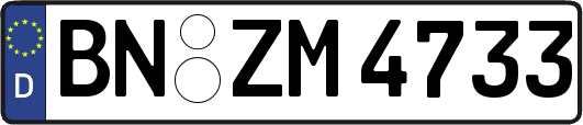 BN-ZM4733