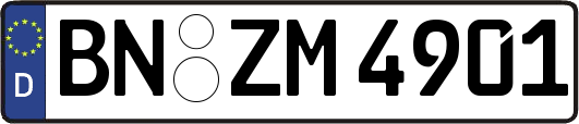 BN-ZM4901