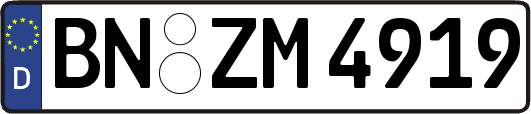 BN-ZM4919