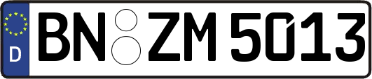 BN-ZM5013