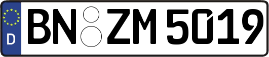 BN-ZM5019