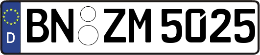 BN-ZM5025