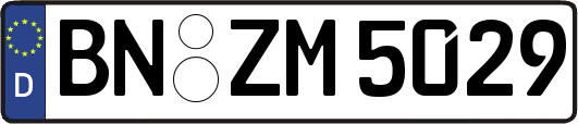 BN-ZM5029