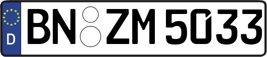 BN-ZM5033