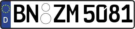 BN-ZM5081