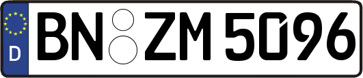 BN-ZM5096