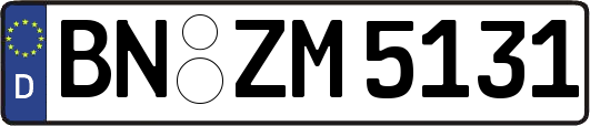 BN-ZM5131