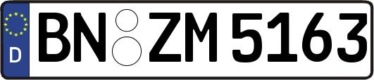 BN-ZM5163