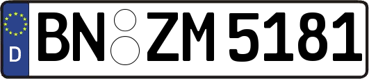 BN-ZM5181