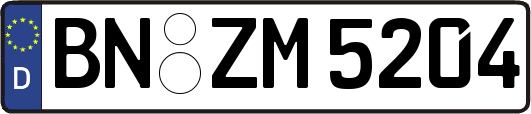 BN-ZM5204