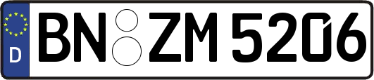 BN-ZM5206