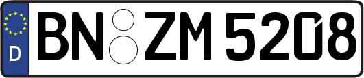 BN-ZM5208