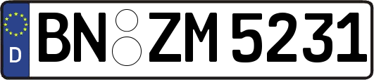 BN-ZM5231