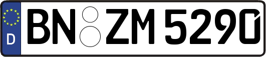 BN-ZM5290