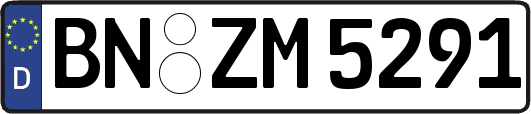 BN-ZM5291