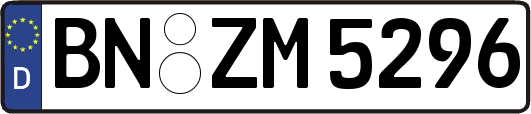 BN-ZM5296
