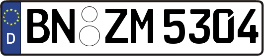 BN-ZM5304