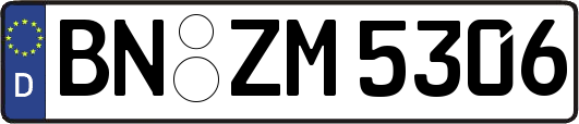 BN-ZM5306