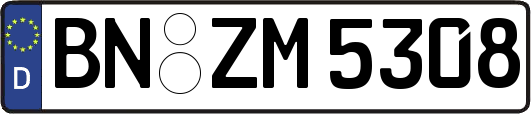BN-ZM5308