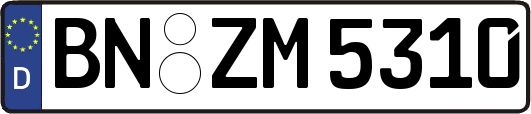 BN-ZM5310