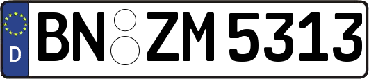 BN-ZM5313