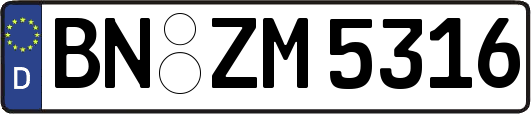 BN-ZM5316