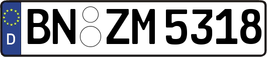BN-ZM5318