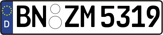BN-ZM5319